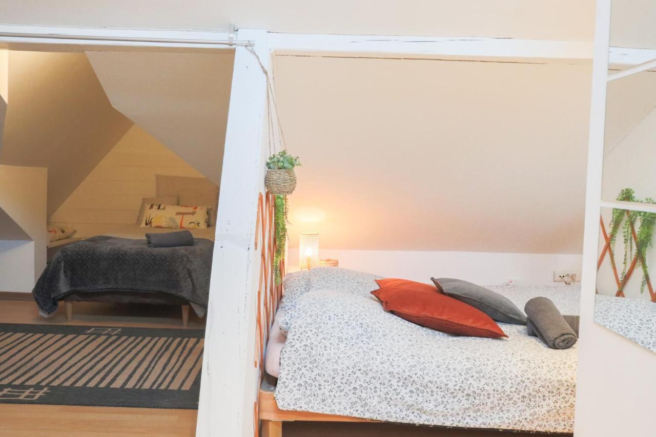 Ferienwohnung Le Petit Loft, Mulhouse Centre Exterior foto